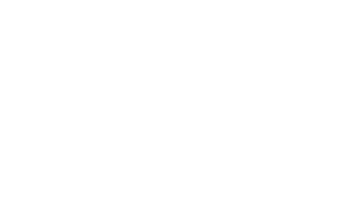 CHAUVET Professional