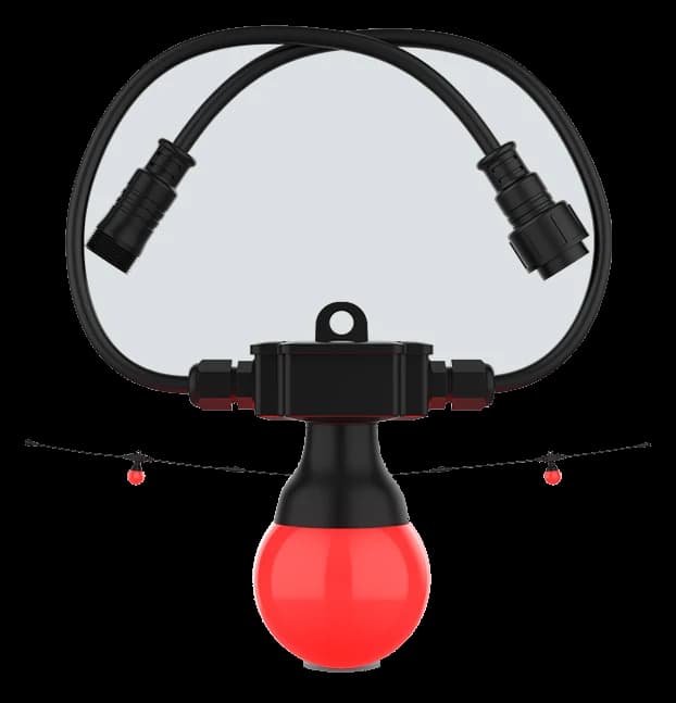 Festoon 2 RGB EXT