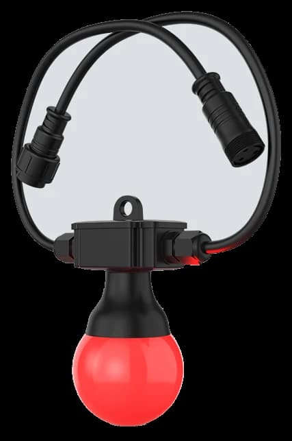 Festoon 2 RGB